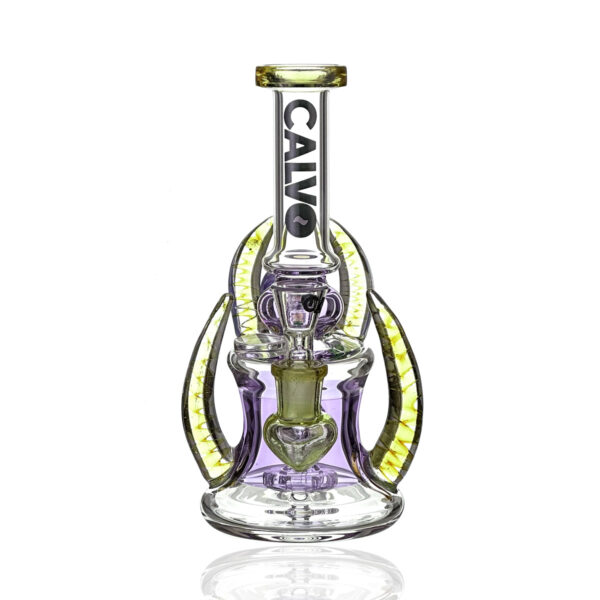 Calvo – Four Horn Rig Purple - Image 3