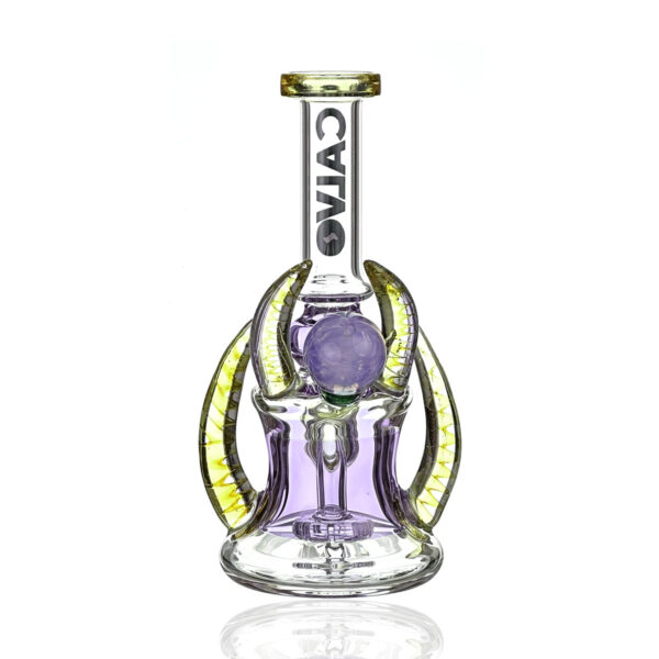 Calvo – Four Horn Rig Purple - Image 2