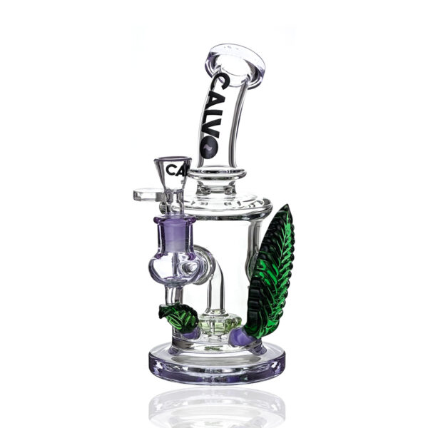 Calvo – Big Leaf Rig