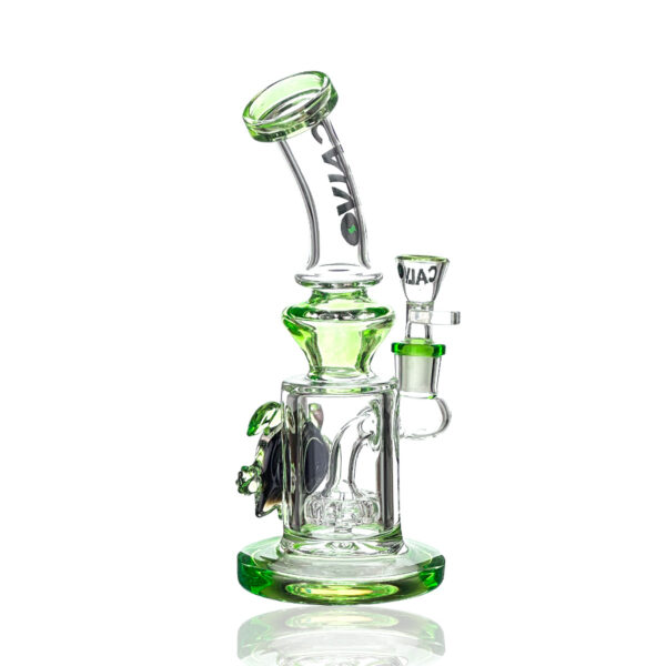 Calvo – Turtle Rig - Image 2